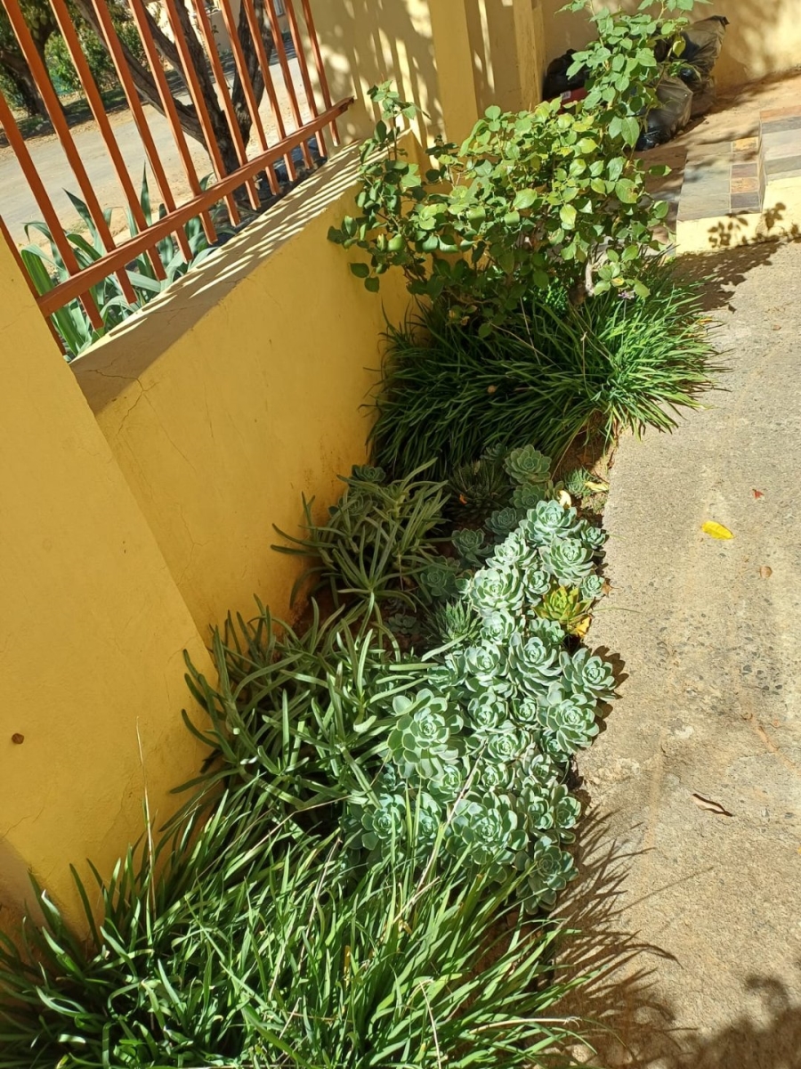 3 Bedroom Property for Sale in Trompsburg Free State